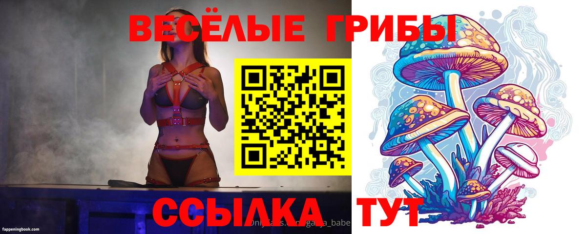 Галлюциногенные грибы прущие грибы  Вход с VPN  Соликамск 